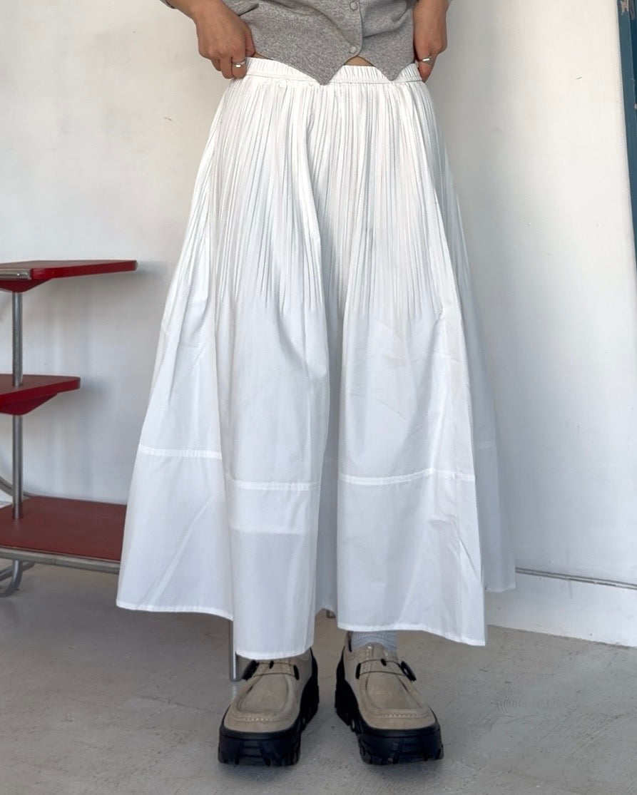 Light Drape Pleats Skirt